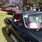 DSC_0104_849 (June 09, 2025)