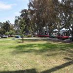 DSC_0106_851 (June 09, 2025)