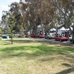 DSC_0107_852 (June 09, 2025)