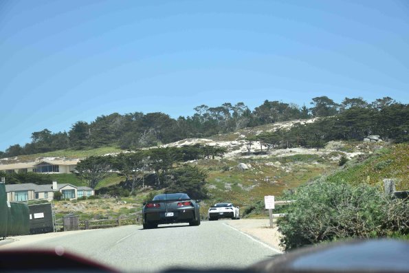 DSC_0152_487