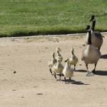 IMG_9947_673 (May 15, 2025)