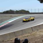 IMG_9951_674 (May 15, 2025)