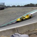 IMG_9955_676 (May 15, 2025)