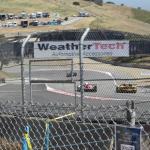 IMG_9959_678 (May 15, 2025)