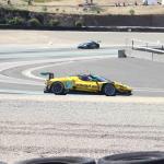 IMG_9985_682 (May 15, 2025)