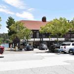 DSC_0128_1137 (July 17, 2025)