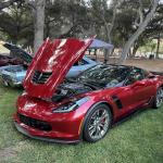 PatriotsandPaws_0002 (October 05, 2025)