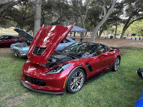 PatriotsandPaws_0002