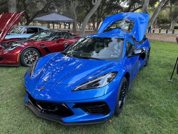 PatriotsandPaws_0003