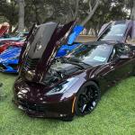 PatriotsandPaws_0004 (October 05, 2025)