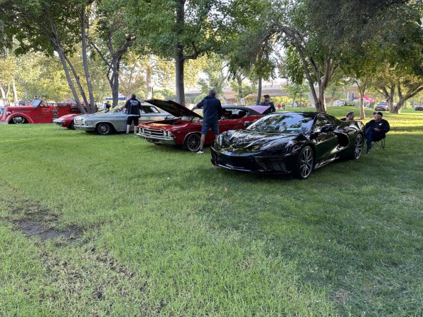 PatriotsandPaws_0018