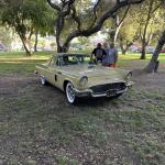 PatriotsandPaws_0020 (October 05, 2025)