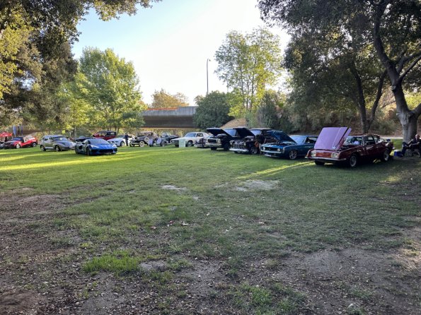 PatriotsandPaws_0021