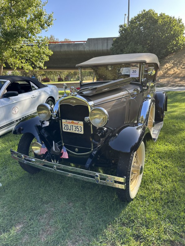 PatriotsandPaws_0027