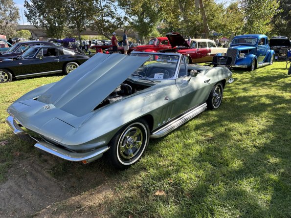 PatriotsandPaws_0034