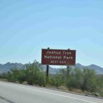 DSC_0004_1364 (October 04, 2025)