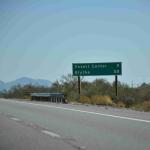 DSC_0011_1371 (October 04, 2025)