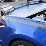 DSC_0081_1441 (October 04, 2025)