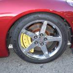 DSC_0090_1450 (October 04, 2025)