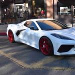 DSC_0097_1457 (October 04, 2025)