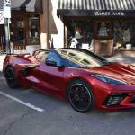 DSC_0105_1465 (October 04, 2025)