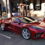 DSC_0106_1466 (October 04, 2025)