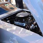 DSC_0108_1468 (October 04, 2025)