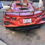 DSC_0111_1471 (October 04, 2025)