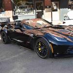 DSC_0119_1479 (October 04, 2025)