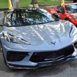 DSC_0131_1491 (October 04, 2025)