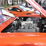 DSC_0136_1496 (October 04, 2025)