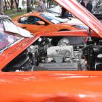 DSC_0137_1497 (October 04, 2025)