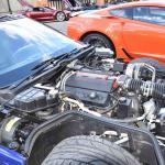 DSC_0138_1498 (October 04, 2025)