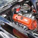 DSC_0144_1504 (October 04, 2025)