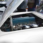 DSC_0166_1526 (October 04, 2025)