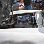 DSC_0171_1531 (October 04, 2025)