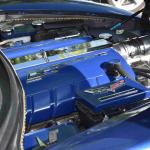 DSC_0174_1534 (October 04, 2025)