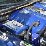 DSC_0175_1535 (October 04, 2025)