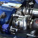 DSC_0176_1536 (October 04, 2025)