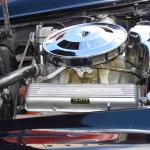 DSC_0192_1552 (October 04, 2025)