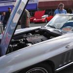 DSC_0197_1557 (October 04, 2025)