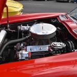 DSC_0199_1559 (October 04, 2025)