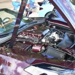 DSC_0205_1565 (October 04, 2025)