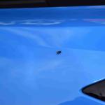 DSC_0206_1566 (October 04, 2025)