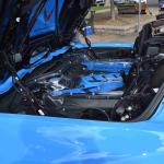 DSC_0207_1567 (October 04, 2025)