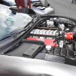 DSC_0218_1578 (October 04, 2025)