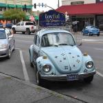 DSC_0225_1585 (October 04, 2025)