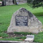 DSC_0226_1586 (October 04, 2025)