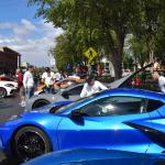 DSC_0235_1595 (October 04, 2025)