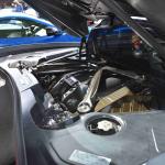 DSC_0236_1596 (October 04, 2025)